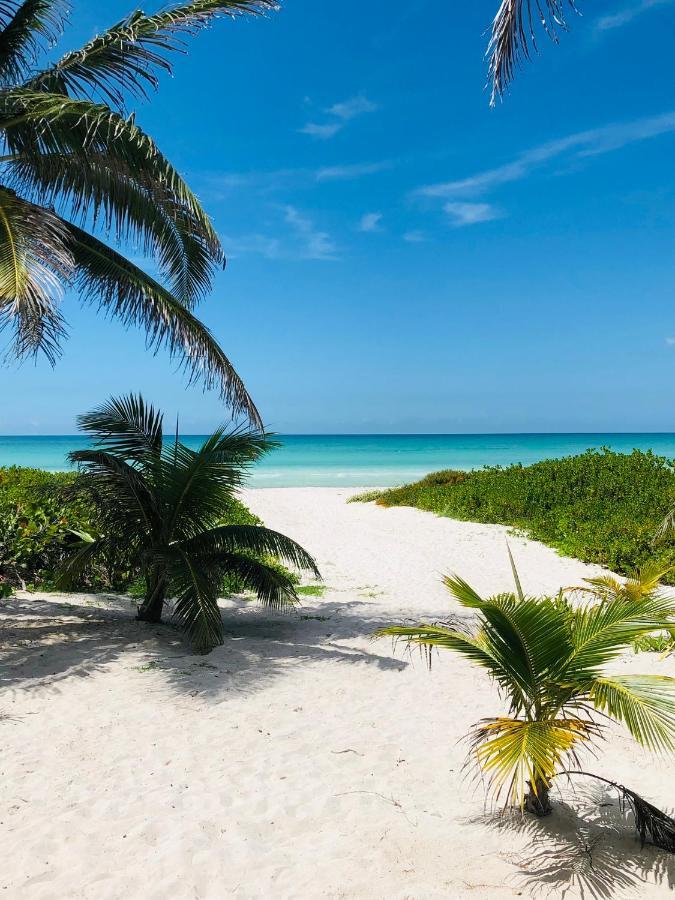 Cabana Tortuga A Unos Pasos De La Playa Lejlighed El Cuyo Eksteriør billede